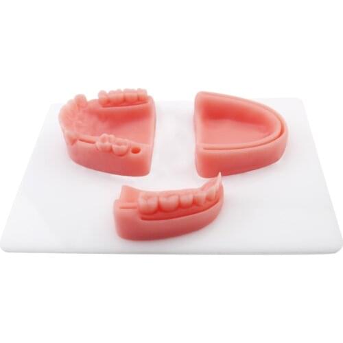 Dental Oral/Gum suture training module silicone periodontitis suture model Dental Teaching practise Model