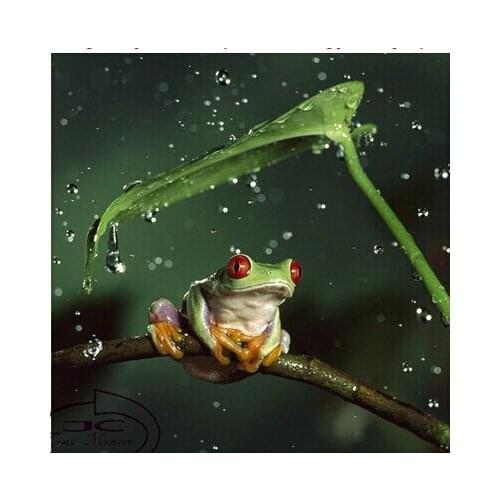 Animal 2017 New Free Shipping Needlework Diy Diamond Painting Kit 3D Diamond Cross Stitch Plants Embroidery Many Frog 40*40cm