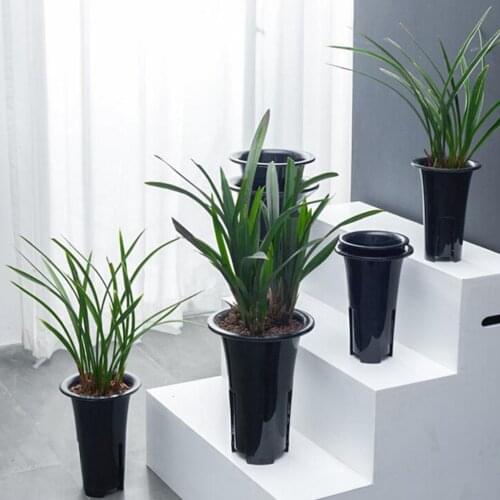 Breathable Tall Plastic Plant Pot For Orchid Flowers, S / M / L / XL Available