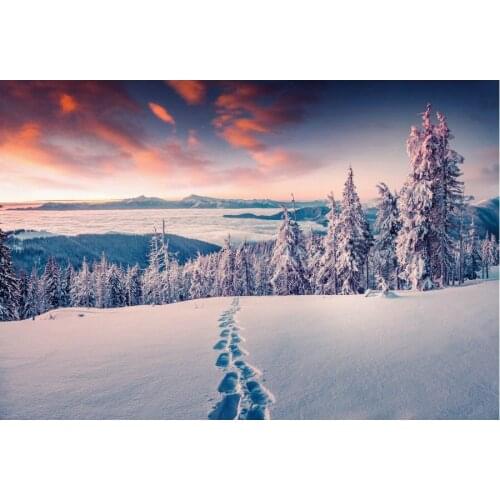 Snow Footprints Decor Backdrop Pine Forest in Winter Background Newborns Photography Xmas Family Party Decoration Photo Booth