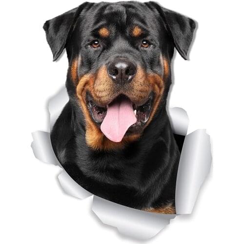 Realistic 3D Visual Personalized Fashion Stickers Used for Car Motorcycle Wall Furniture Waterproof Vinyl KK PVC 13cm X 9.8cm