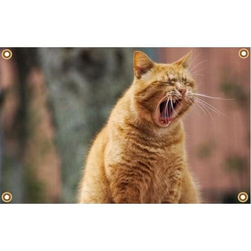 Wind Resistant Outdoor Full Color Polyester Advertising Mesh Fence Banner