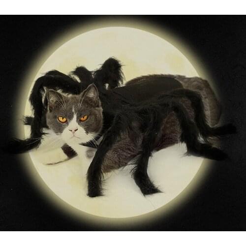 Clyine 