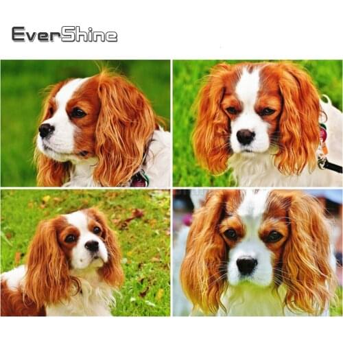 EverShine Dog DIY Diamond Painting Full Square Cross Stitch Diamond Embroidery Animals Art Bead Picture Kits Handwork Home Decor