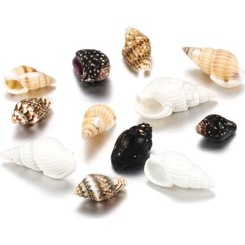 50g/Pack Natural Mini Conch Shape Seashell Mixed Color Shells for DIY Jewelry Making Resin Fillings UV Epoxy Mold Jewelry Filler