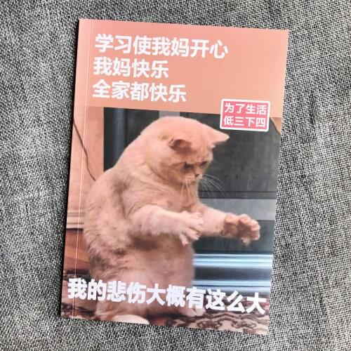 A5 Student Exercise Book Funny Notebook Today Not Study Notes Studying Is My Mom Happy To Correct The Wrong Notebook