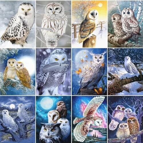 EverShine Diamond Painting Owl Full Square Diamond Embroidery Winter Animals Picture Of Rhinestone Beaded Mosaic Wall Decoration