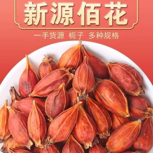 Big Red Dried Gardenia Relieves Upset, Clears the Liver, Improves Eyesight, Reduces Swelling and Relieves Pain Health Flowers