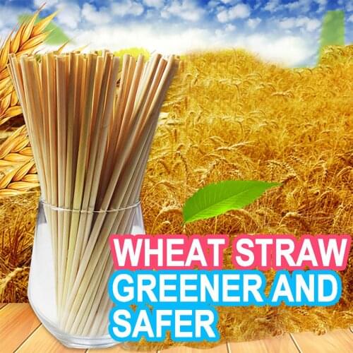 200pcs 20cm Disposable Wheat Straw Eco-Friendly Natural Wheat Drinking Straws Portable Environmentally Straws Bar Accessory