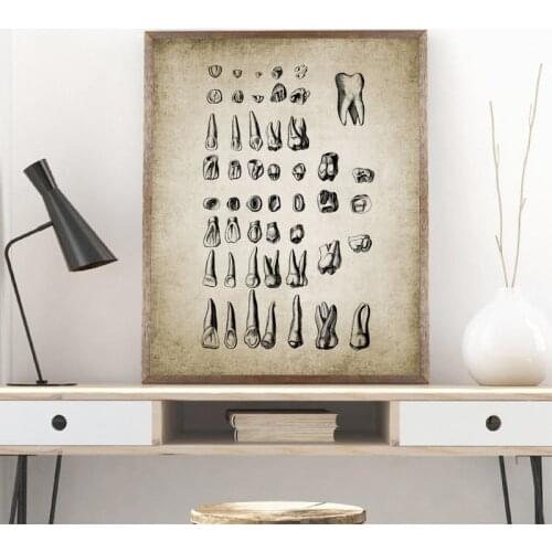 Vintage Human Teeth Medical Poster Dental Clinic Wall Art Decor Human Dental Anatomy Educational Prints Canvas Painting Picture