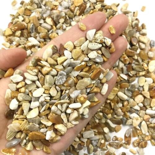 100g Natural Stone Chrysanthemum Stone Coral Jade Crystal Quartz Mineral Specimen Rock Chip Gravel Rough Raw Energy Decoration