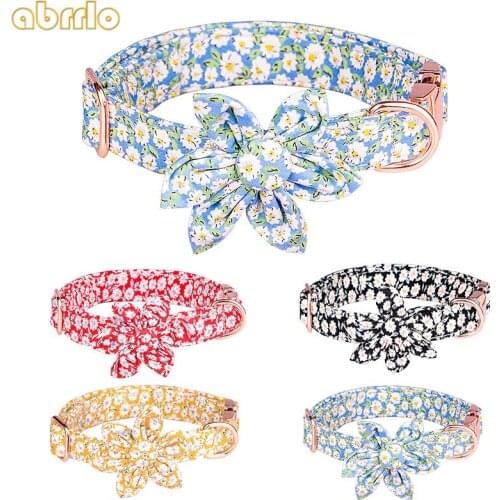 Ошейники Abrrlo China At AliExpress