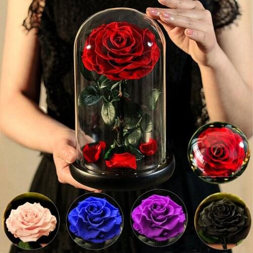 Eternal Rose Beauty and The Beast Rose Everlasting Artificial Flowers NIght Light In Glass Dome Birthday Valentine Wedding Gifts