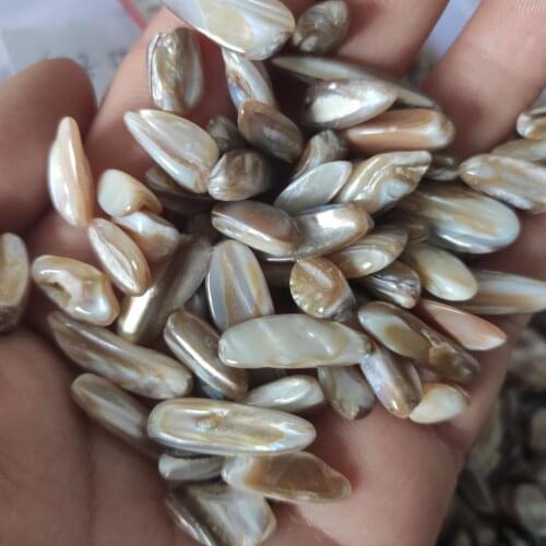 100g Natural Melon Seeds Tiny Shells Seashells Aquarium Gravel for Fish Tank Healing Stones