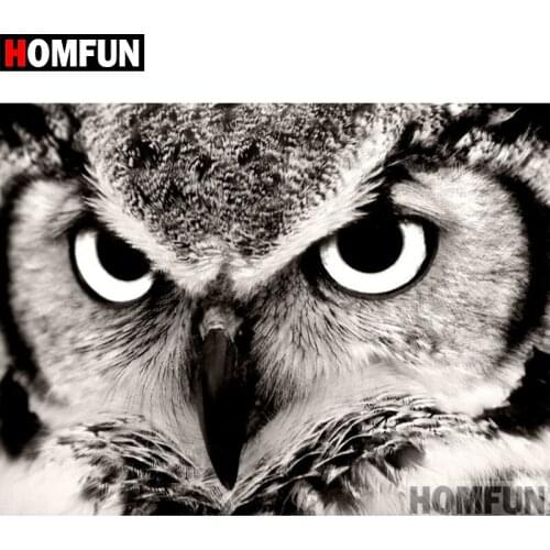 HOMFUN 5D DIY Diamond Painting Full Square/Round Drill "Animal owl" 3D Embroidery Cross Stitch gift Home Decor A02050