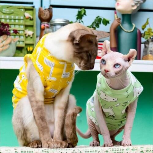 Hairless Cat Clothes Sphinx Deven Rainbow Breathable Kitten T-shirt Pet Clothes for Small Dogs Shirt Cute Pattern Printing