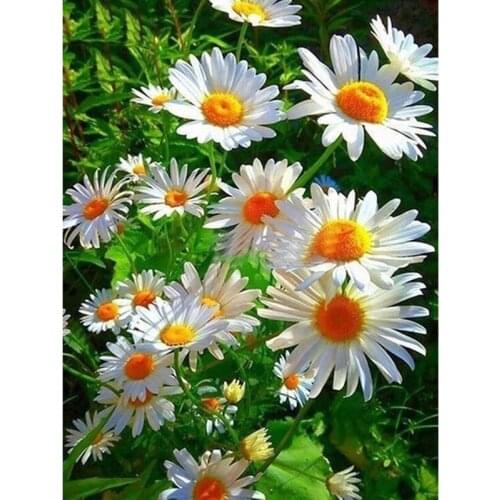 5D DIY Diamond Painting Flowers Landscape Diamond Art Embroidery Cross Stitch Full Square Round Resin Mosaic Home Decor Art Gift