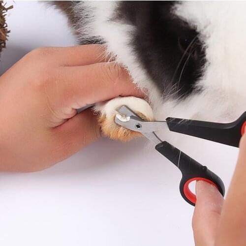 500pc Pet Dog Nail Clippers Claw Nailclippers Supplies Cats Nails Clipper Trimmer Pet Nail Claw Grooming Scissors Cutter