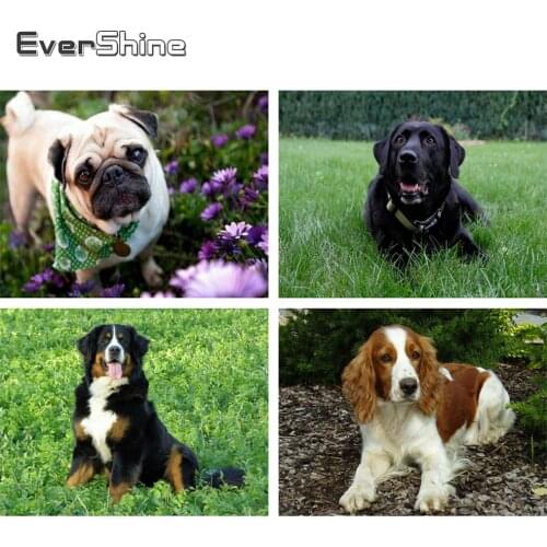 Evershine 5D Diamond Embroidery Animals Full Drill Square Diamond Painting Dog Cross Stitch Kit Diamond Mosaic Home Decoration