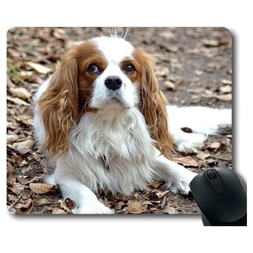 Dogs puppies pets Mouse Pads,Dog Small Purebred Dog01,dogs mouse mat