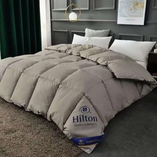 2021 New Hotel quilt Hilton duvet double spring autumn and winter is thickened quilt core