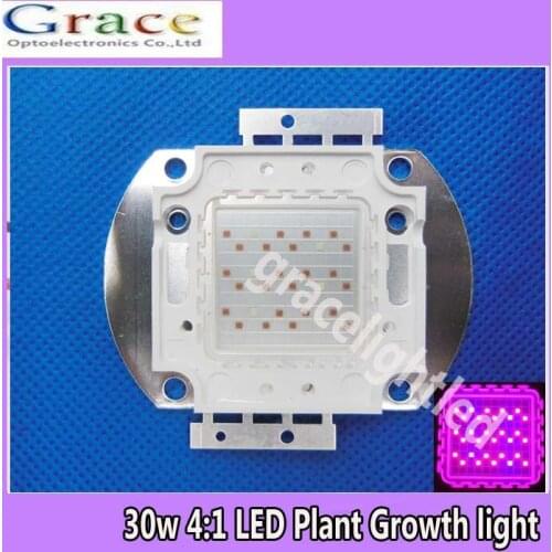 30W High power LED Red 660nm & Blue 470nm 4:1 For Plant Grow Light 24-26V