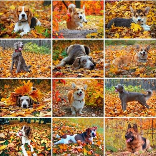 Diamond Mosaic Dog Cross Stitch Kit 5D DIY Animal Diamond Painting Autumn Embroidery Rhinestones Picture Home Decor