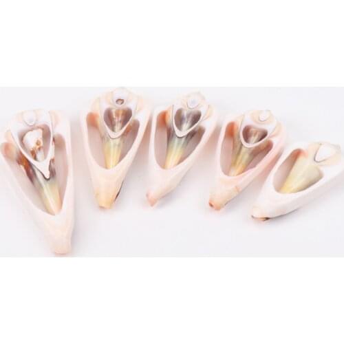 40-53mm white Natural Spiral Shell Loose Beads for jewelry making DIY 5pcs TRS0132X