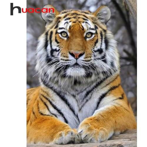 Huacan Diamond Embroidery Sale Tiger 5D DIY Diamond Painting Set Animal Kits Handicraft New Arrival
