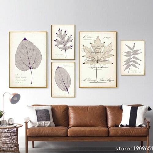 Cotton No frame modern letter leaves specimens canvas printings oil painting printed on cotton home wall art decoration picture