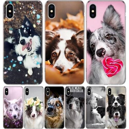 Border Collie Clever Dog Case For iPhone 12 11 Pro 7 6 X 8 6S Plus XS MAX + XR 5S SE 10 Ten Art TPU Cover Phone Coque Capa Shell