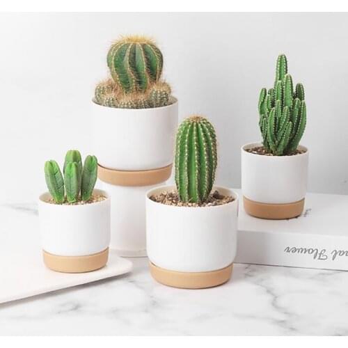 Succulent Plant Six-sided Ceramic Pot Succulent Pot Set With Bamboo Support Double-layer Green Dill Small Green PlantFlowerpot