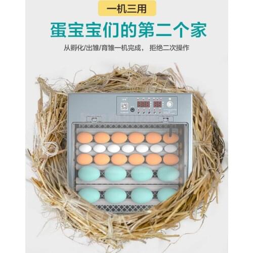 Fully Automatic Incubator, Small Household Type Intelligent Incubator, Chicken, Duck And Goose, Mini Incubator Equipment, Egg In