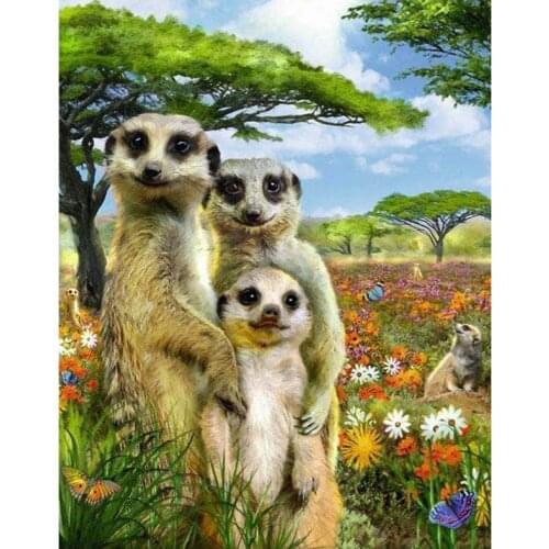 5D Diy Diamond Painting Needlework Full Diamond Africa Cute Meerkats Family Embroidery Cube Rhinestones Decoration MosaicZP-2830