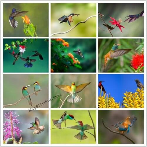 Full Square/Round 5D DIY Diamond Painting Animal Hummingbird Diamond Inlaid Mosaic Diamond Embroidery Home Decoration