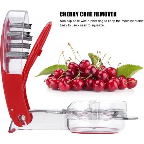Cherry Pitter Portable Cherry Pitting Tool with 6Groove Pits and Juice Container Cherry Stone Pit Remover Tool Seed Pitting Tool