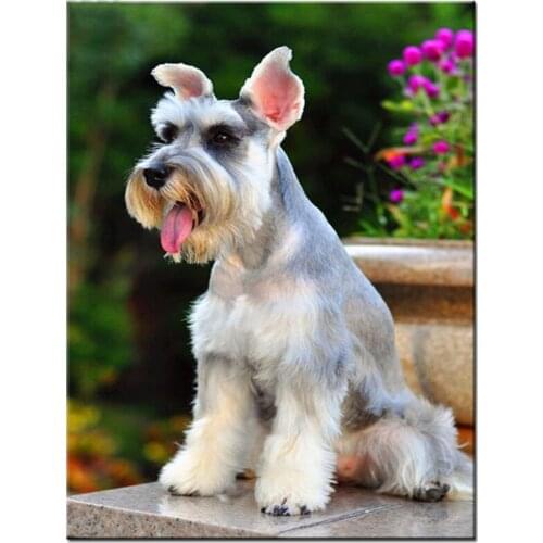 Diy 5d Schnauzer diamond painting full round square drill Diamond embroidery animal funny puppy wedding decorationsZP-3723