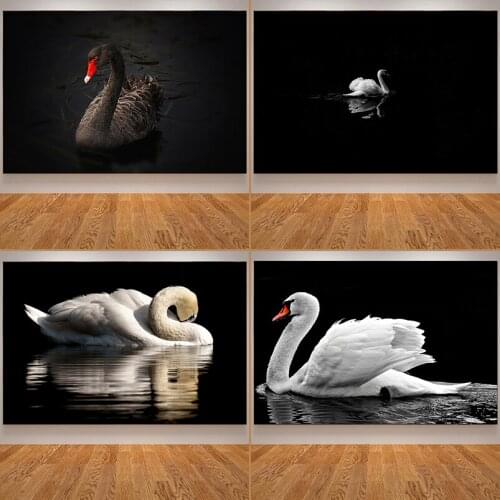 Beautiful and Elegant Swan Photo Decorative Art Canvas Printing Wall Art Picture for Living Room Home Decor Freshen Up The House