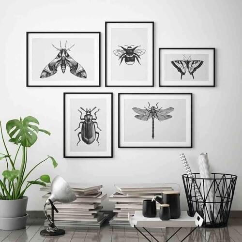 Insects Illustration Minimalist Poster Beetle Bee Dragonfly Butterfly Canvas Painting Wall Art Pictures for Modern Home Decor
