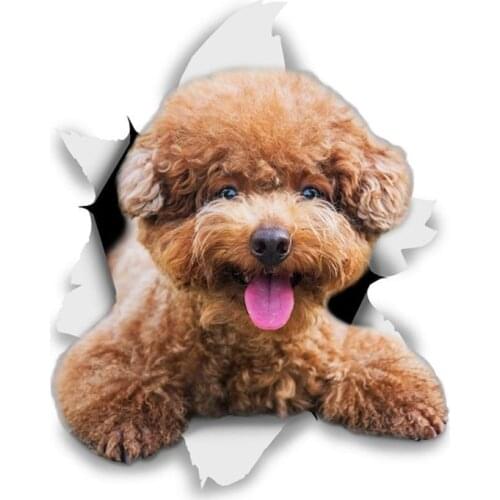 B0583# 13CM 17CM Self-Adhesive Decal Smiling Brown Poodle Car Sticker Waterproof Auto Decors on Bumper Rear Window Laptop