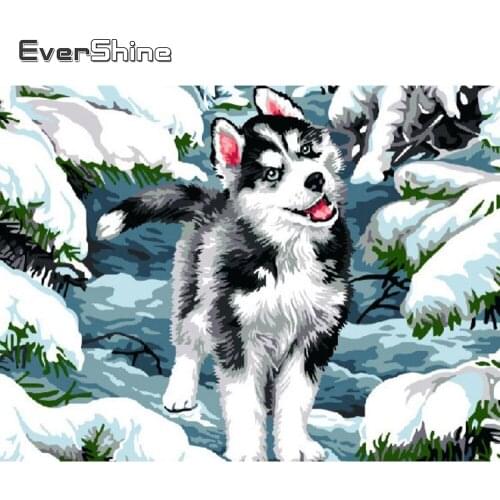 Evershine Diamond Embroidery Cross Stitch Kit Animals Dog Diamond Painting Full Drill Square Cartoon Mosaic Pet Childrens Gift