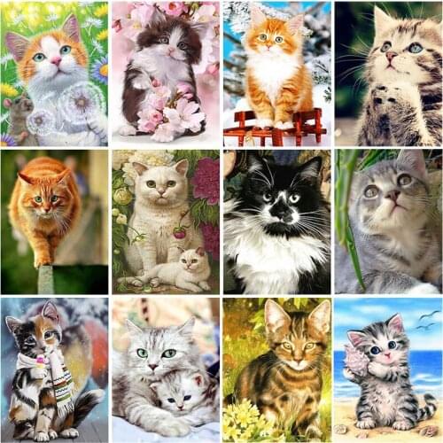 Full diamond 5D DIY diamond embroidery animal, cat, cross stitch, mosaic art home decoration