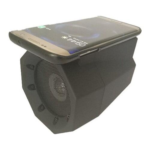 Wireless Magic Smart Sensor Speaker Creative Lion Roar Mobile Resonance Subwoofer Loudspeaker Outdoor Audio