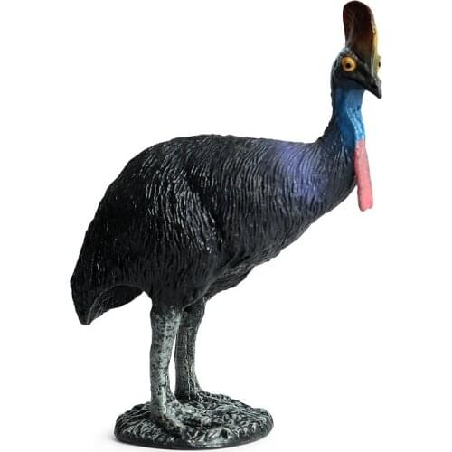 Cassowary Animal Figure Collectible Toys Birds Animal Cognition Action Figures Kids Plastic Cement Toys
