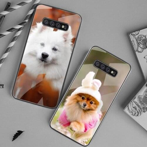 Japanese Spitz Dog Phone Case Tempered Glass For Samsung S20 Plus S7 S8 S9 S10 Plus Note 8 9 10 Plus