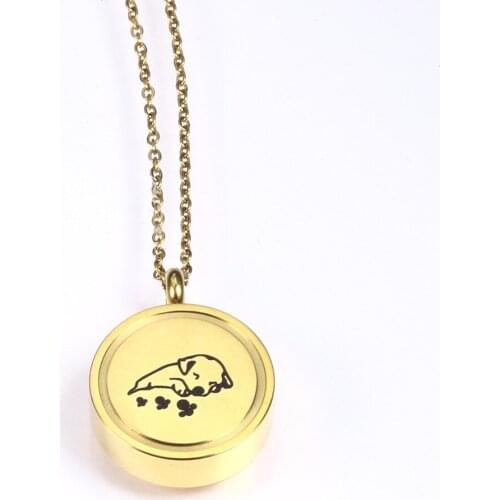 Medallion For Dogs Urn Cremation Pet Memorial Jewelry Urn Pendant Keepsake Paw Series Animal Memorial Cremation Jewelry For Dog