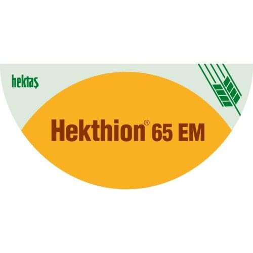 HEKTHİON 65 EM 1 LT