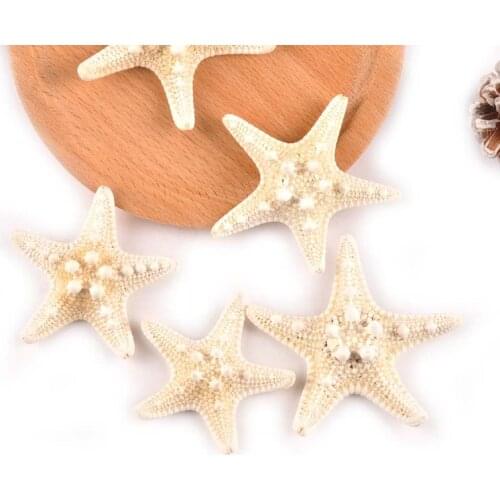 2pcs Natural Starfish Nautical Beige Sea Shells For Wedding Decoration DIY Scrapbooking Carft Party Home Decor 5-10CM C0328