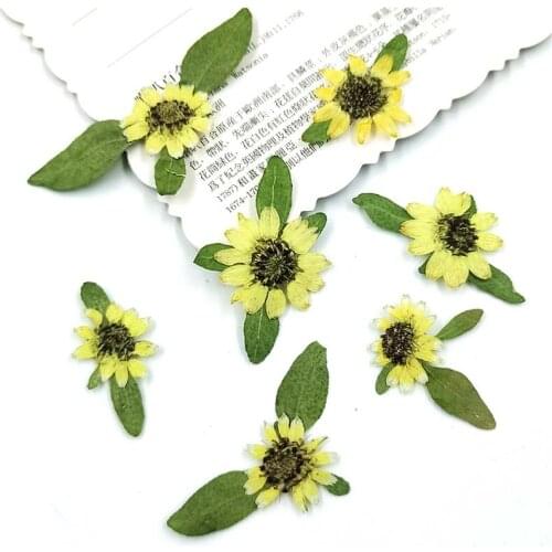 24PCS/1~2CM Real Dried Natural Pressed Flowers,Mini Press Dry sunflower for DIY Jewelry,Floral Sticker Beauty Nail Art,Bookmarks