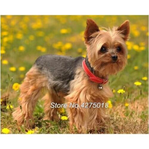 DIY Diamond Painting Cross Stitch Yorkshire Terrier Pet Dog 5D Drill Mosaic Embroidery Full Square Rhinestones Home Decor YG402